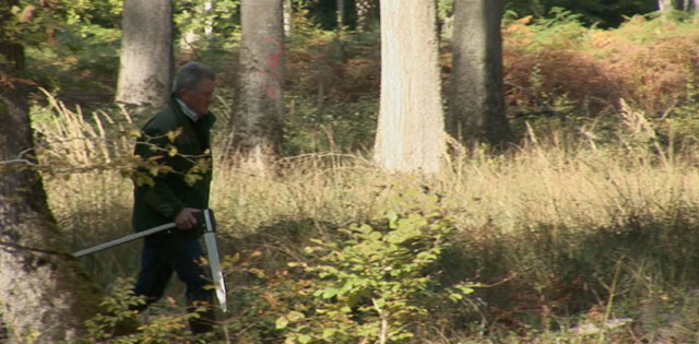 Wood buyers - Taransaud